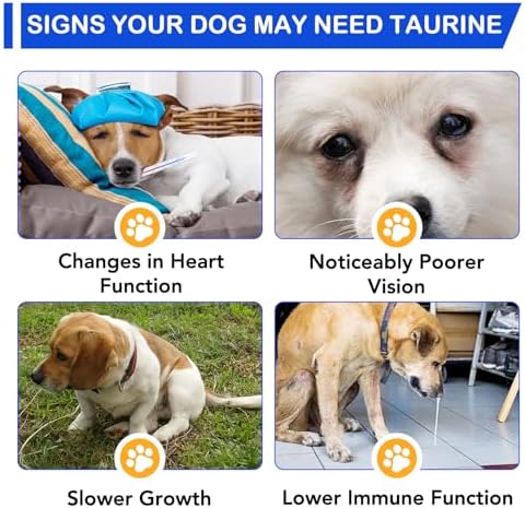 Taurine for Dogs - Taurine Drops for Dog Supports Heart Health, Muscle Function & Daily Vitality Immune System - Liquid Amino Acid Supplement - Pet Wellness Formula for All Breeds Dogs - 2 fl oz