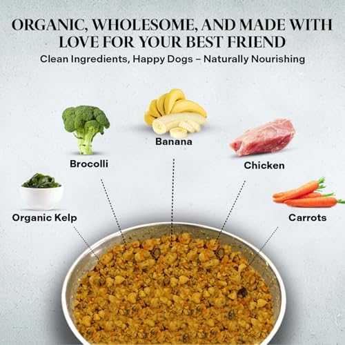 Petmix Healthy Dogma Dehydrated Dog Food for Allergies - Grain Free, Freeze Dried, Raw, Homemade Dog Food (Chicken Dinner, 10 lbs)
