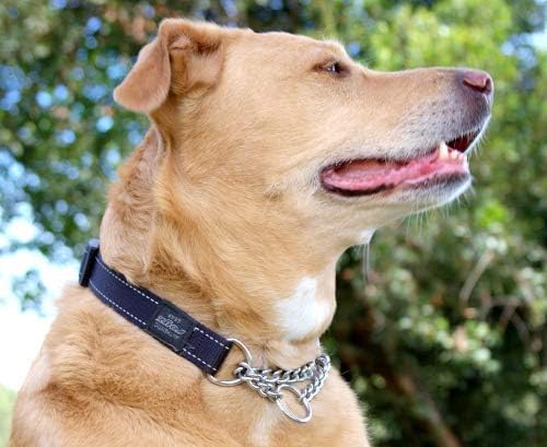 Reflective Nylon Choke Collar; Slip Show Obedience Training Gentle Choker for Large Dogs, Pink