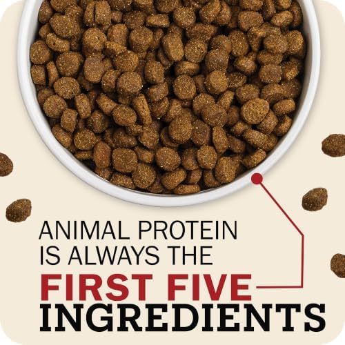 Redbarn Kibble Whole Grain Sky Recipe, Premium Dog Food, 22 lbs