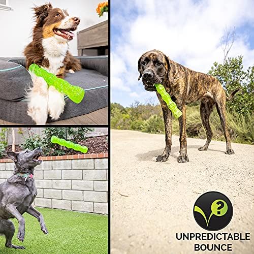 Hyper Pet Dura-Squeaks Stick Dog Toy, Large, Green
