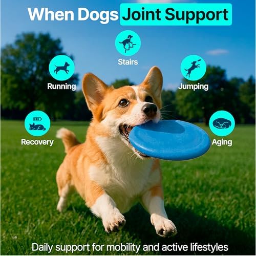 Hip and Joint Supplement for Dogs – Glucosamine for Dogs, Dog Joint Supplement, Mobility, Flexibility & Comfort, Chews with Glucosamine Chondroitin Msm & Omega3, 1 Pack,170 Chews,Made in USA