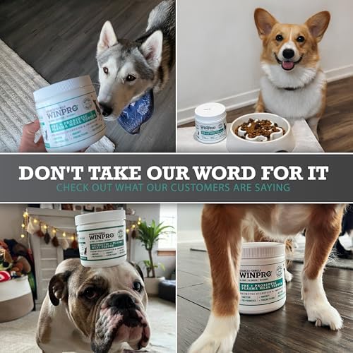 WINPRO Dog Probiotic Powder Meal Topper, Spray Dried Plasma with Prebiotics and Probiotics for Digestive Support and Gut Health for Dogs, All Breeds, Ages, and Sizes, 60 Scoops, Made in USA