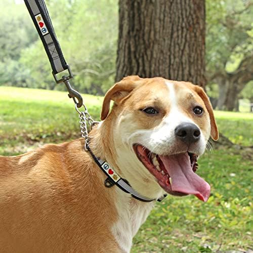 Pawtitas Blue Chain Martingale Dog Collar, Large