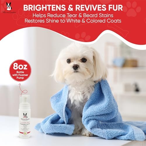 Warren London Foaming Pet Facial – Tear Free Dog Face Wash & Tear Stain Remover | Gentle Puppy & Dog Face Shampoo | Cucumber Melon Scent | Made in USA | 1 Gallon Refill