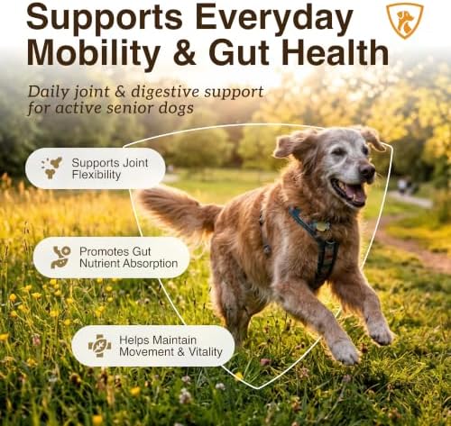 NutraRegen Select Optima Dog Joint Supplement for Senior Dogs – Glucosamine, Chondroitin & MSM + Probiotics & Prebiotics – Mobility, Joint & Digestive Health – 60 Scoops