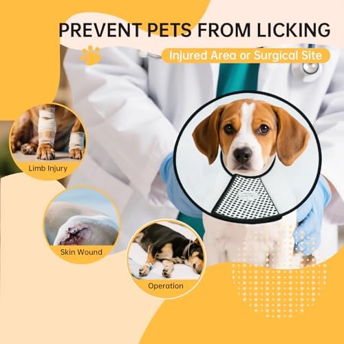 Dog Cone Collar for Surgery Recovery, Adjustable Soft Elizabethan Collar, Anti-Lick Protective Neck E-Collar for Dogs L