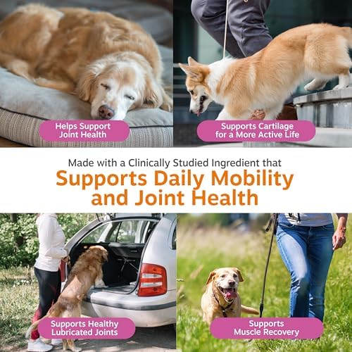 Zesty Paws Glucosamine for Dogs - Dog Joint Supplement, Duck, 90 Ct