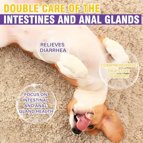 Dog Anal Gland Soft Chews 150 Stop Scoot for Dogs Supports Anal Gland Bowel Function Digestive Health Fiber Pumpkin Supplement for Dogs Pet Diarrhea Bowel Support Probiotics Digestive (Chicken Flavor)
