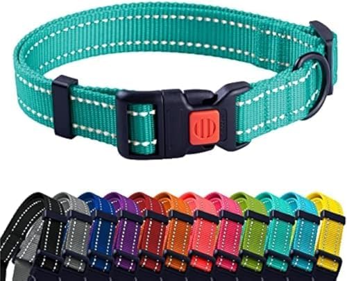 Reflective Dog Collar, Quick-Release Buckle (Mint Green, 7-11 Inch (New))