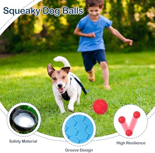 2 Pack Indestructible Squeaky Dog Balls for Aggressive Chewers, Interactive Dog Toys for Teething, Relieving Anxiety. Chew Toy for Large, Medium Breeds, Outdoor Rubber Balls.