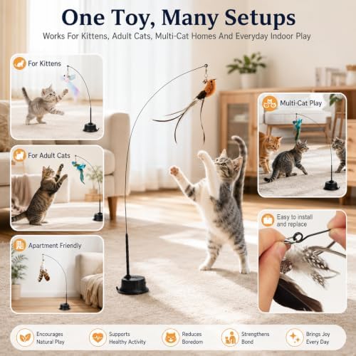 6PCS Interactive Cat Feather Toy Set, Realistic Bird Simulation Cat Toy
