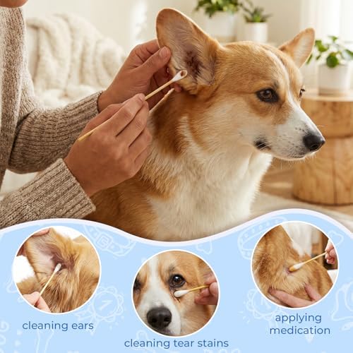 Dog Ear Swabs, 6 Inch Long Cotton Swabs (100 Pcs)
