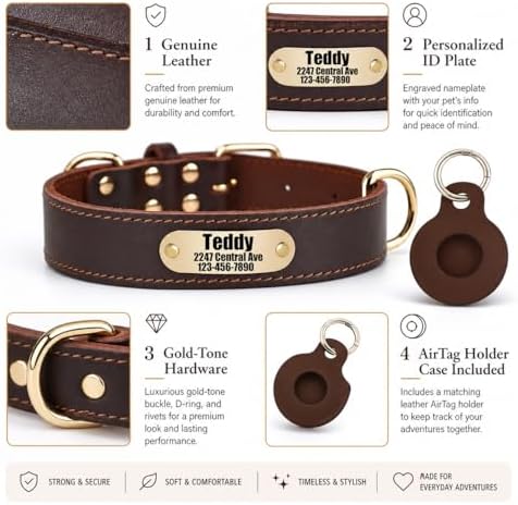Personalized Genuine Leather Dog Collar with Name & Phone Number-Brown XS