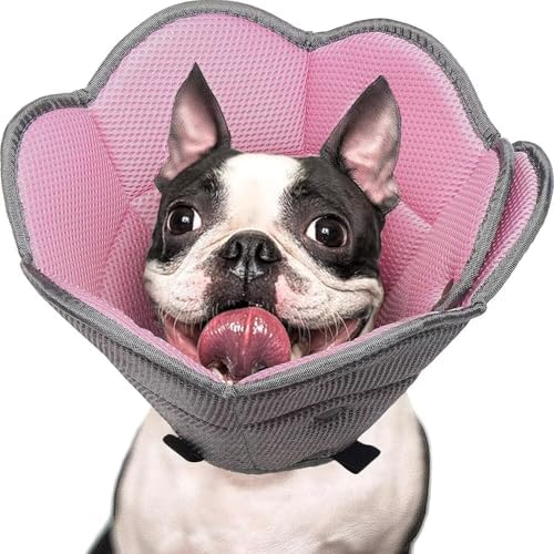Foldable Pet Cone Collar to Stop Licking After Surgery Adjustable