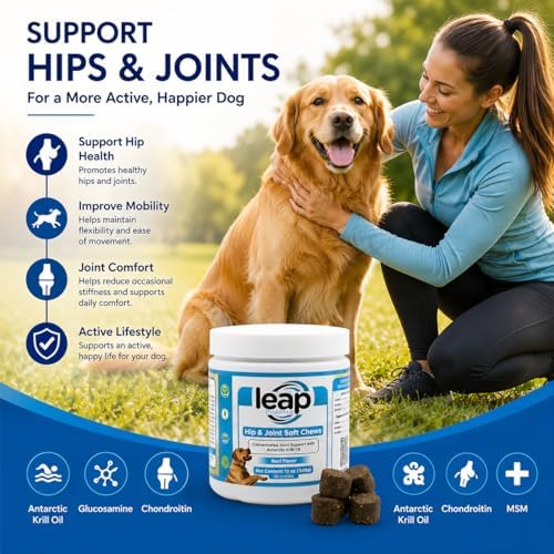Dogs Suplements Hip & Joint - Krill Oil and Glucosamine Soft Chews, Joint Supplement for Dogs with Krill Oil,Glucosamine, Chondroitin, MSM, Turmeric, Anti Inflammatory, Mobility (Beef 90ct)