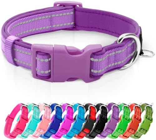 azuza Reflective Dog Collar, Neoprene Padded Medium Dog Collar, Purple, M