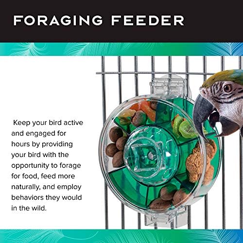 Featherland Paradise Creative Foraging Systems Foraging Wheel, Interactive Bird Cage Toy Feeder