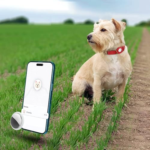 AirTag Dog Collar - Genuine Leather Dog Collar with Apple AirTag Holder and Metal Buckle - Smart GPS Tracking Pet Collars (Red, XL, 20"-25" Neck Fit)