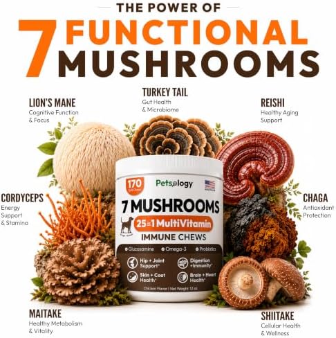 (2 Pack) Turkey Tail Mushroom for Dogs - 340 Chews - Mushrooms for Dogs