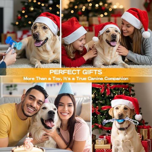 3 Pack Dog Chew Toys for Aggressive Chewers, Multiple Textures & Rope, ndestructible Tough Durable Interactive Dog Toys, Puppy Chew Toys for Teething， Blue Star&Bone&Small Circle