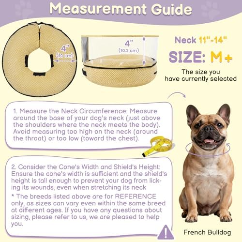 Inflatable Dog Cone with Clear Shield for Added Coverage