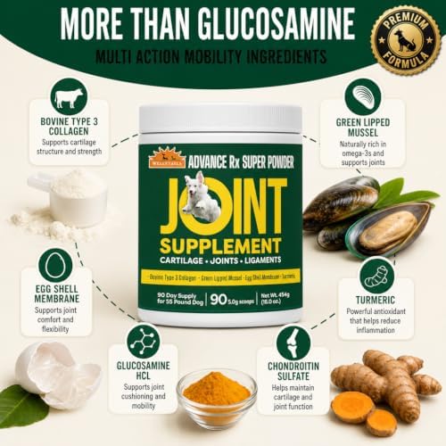 Powerfull Dog Joint Supplement Concentrated Actives Powder NO JUNK FILLERS