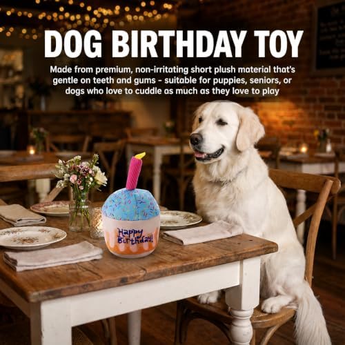 Dog Birthday Cake Squeak Toys, 1 Pcs (Small Cake)
