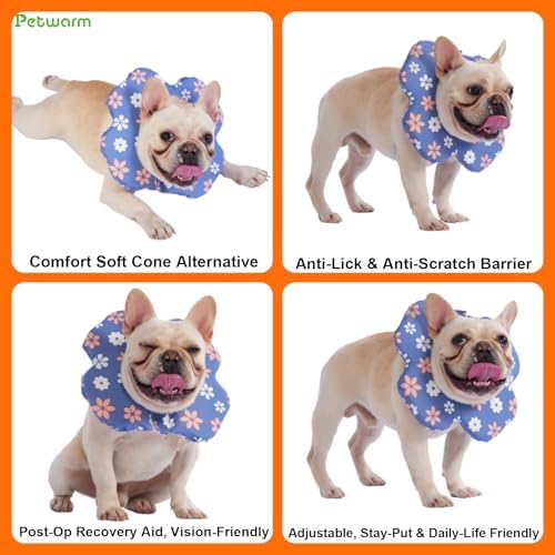 PetWarm Dog Recovery Collar, Recovery Collar, Blue Flower Print, L
