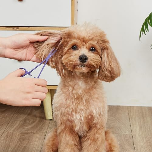 Pets ears/nose hair Puller Straight & Curved full serrated, stainless steel Home Hemostat Locking Forceps, Professional pet grooming tool for cats & dogs 2pcs set （purple）