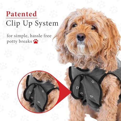 BellyGuard Dog Surgery Recovery Suit, Male Female After Spay Neuter Onesie
