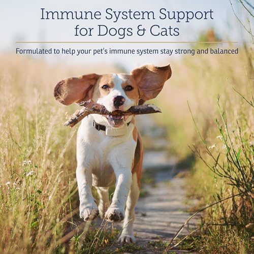 Rx Vitamins CurcuWIN - Turmeric for Dogs & Cats - 90ct