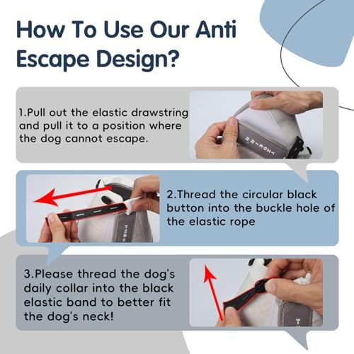 Soft Small Dog Cone Collar Alternative, Comfortable Elizabethan Dog Neck Pillow Cone for Small Dogs (Yorkshire Chihuahua), Protective Adjustable Head Recovery Cone After Surgery Anti Licking for Pup