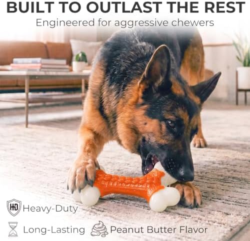 Kseroo 2-Pack Indestructible Dog Toys for Aggressive Chewers: Peanut Butter Flavored Hard Nylon Bone Chew Toys, Tough Dog Chew Toys, Dog Toys to Keep Them Busy for Medium Large Dogs, Orange