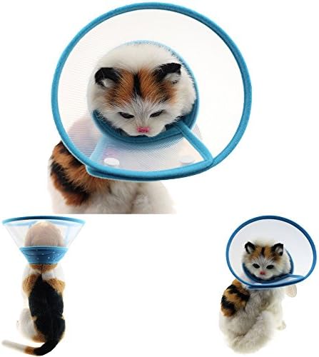 Pet Plastic Clear Cone Recovery E-Collar with Dots Design Soft Edge for Small Dogs & Cats (Small, Blue)