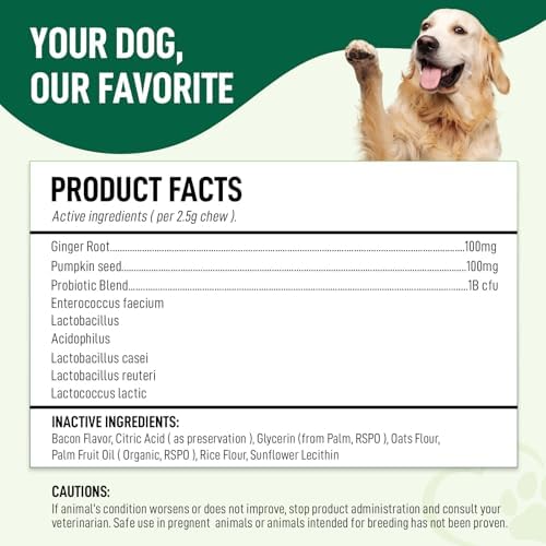Probiotics for Dogs – 120 Soft Chews, Bacon Flavor | Digestive Enzymes, Gut Health & Immune Support with Pumpkin Seed & Ginger | for All Breeds