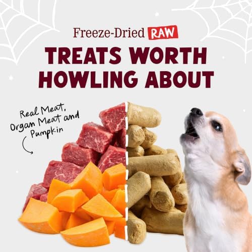 Stella & Chewy's Halloween Wild Weenies Beef and Pumpkin Dog Treat, 3.25 oz