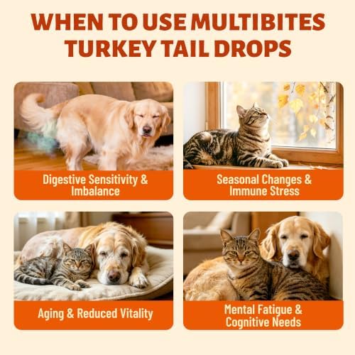 Turkey Tail Drops, 6-Mushroom Complex for Dogs & Cats, 2 fl oz