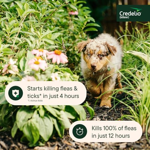 Credelio (lotilaner) Tick & Flea Treatment for Dogs 6.1-12 lbs., 3ct