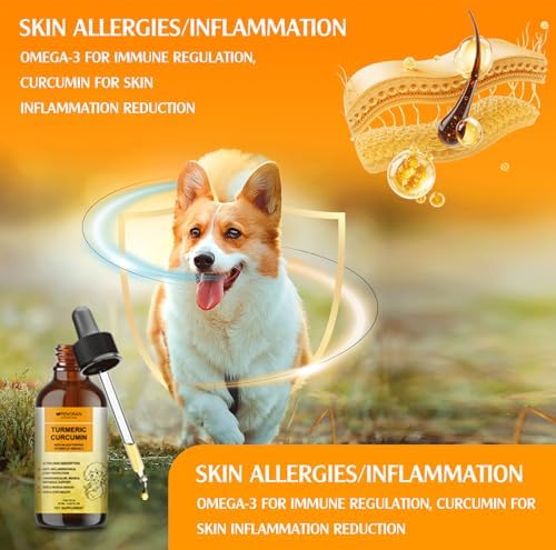 Turmeric Curcumin Drops for Dog & Senior Dogs: Anti-inflammatory Pain Relief, Eliminates Joint Pain, Improve Joint Mobility,Brain, Liver, Bone, Muscle, Skin&Coat - Liquid Absorb Better