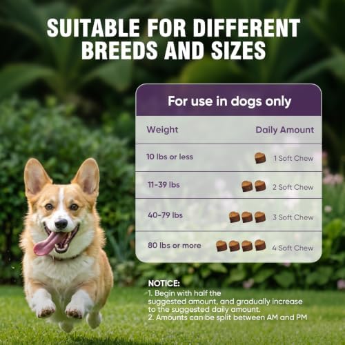 Hip and Joint Supplement for Dogs 200ct, Glucosamine Chondroitin for Dogs