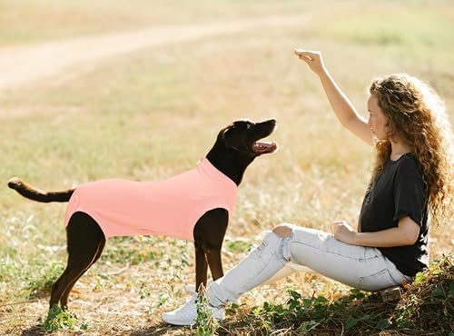 Recovery Suit for Female Dogs, Dog Cone Alternative After Spay