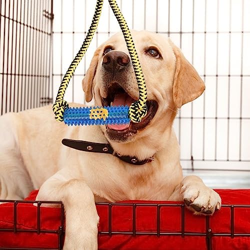 Interactive Dog Toys，Crate Training Aids for Puppies，Green