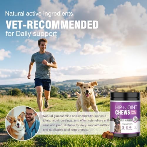 Hip and Joint Supplement for Dogs 200ct, Glucosamine Chondroitin for Dogs