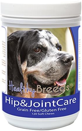 Healthy Breeds Bluetick Coonhound Hip and Joint Care 120 Count