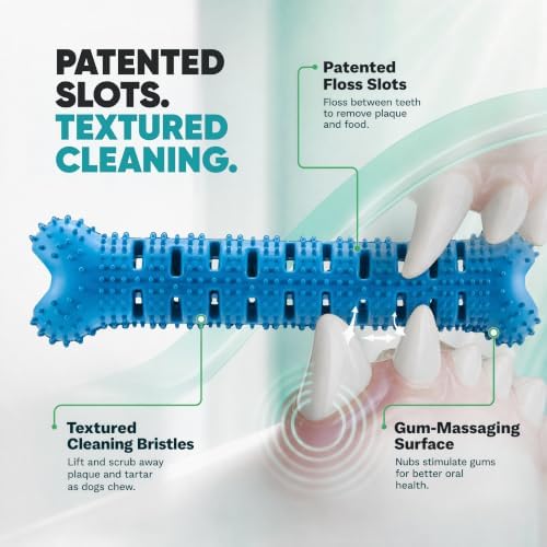 Dog Teeth Cleaning Toy | Treat-Dispensing Dog Dental Chew Toy | Rubber Bristles & Floss Slots Clean Teeth, Gums, Tongue | For Medium/Large Dogs