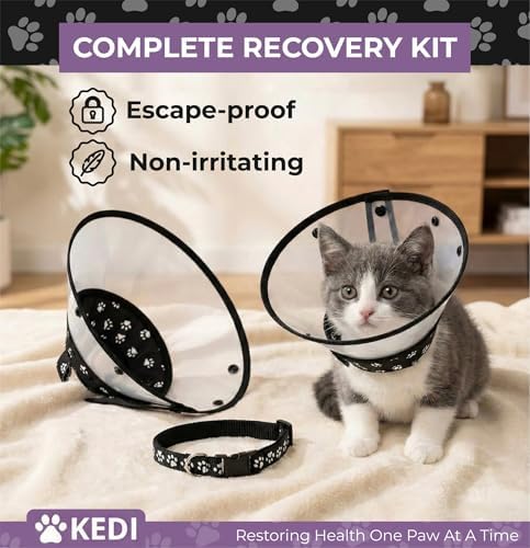 Cat Cone Collar After Surgery to Stop Licking, Escape-Proof, Black Small