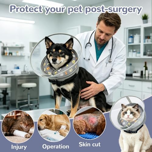 Inflatable Dog Cone Collar with Anti-Licking Clear Shield, for Dogs Cats
