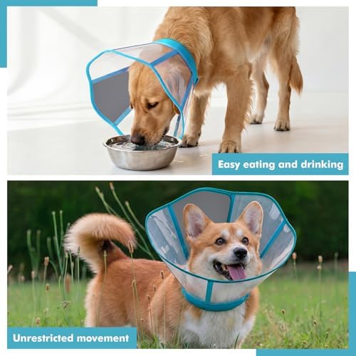 Clear Dog Cone, Elizabethan Collar to Stop Licking for Wound Healing