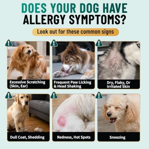 Dog Allergy Chews Omega 3 is Human Grade, Itch Relief for Dogs Multivitamin